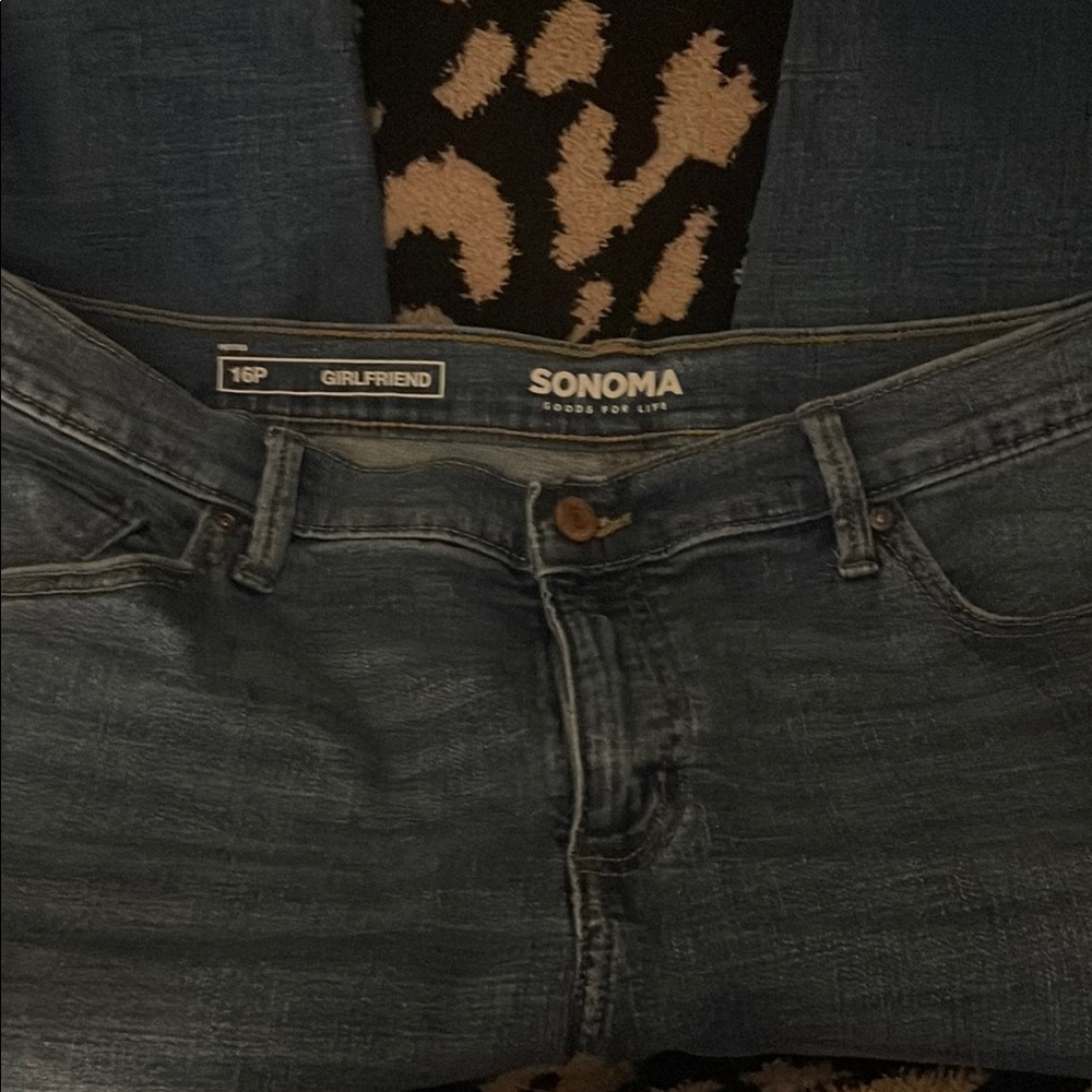 Sonoma Blue Denim Jeans